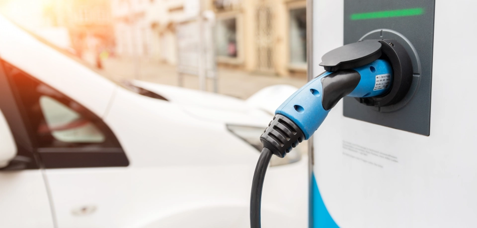 Międzynarodowy Dzień Elektryka z Flexi.pl